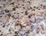 Foto del paso 3 de la receta: Strogonoff de Pollo