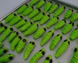 Foto langkah ke 4 dari resep Caterpillar cookies.