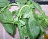 Foto del paso 9 de la receta: Hélices (tirabuzones) caprese al horno