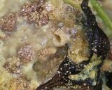 Foto langkah ke 5 dari resep Mie Ayam Homemade.