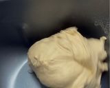 A picture of step 1 of Soft and Fluffy “Fresh” Bánh Mì.