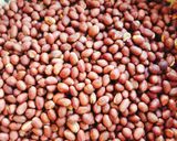 Hình bước làm 1 của món Rang đậu phộng giòn đều màu