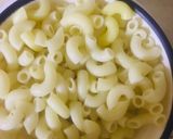 A picture of step 1 of Tikka macroni nest.