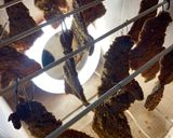 A picture of step 6 of Beef Biltong.