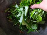 Kangkung Belacan