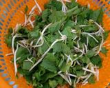 Foto langkah ke 1 dari resep Tumis toge sawi.
