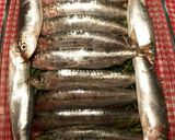 Foto del paso 3 de la receta: Sardinas asadas al horno, con romero y limón