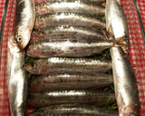 Foto del paso 3 de la receta: Sardinas asadas al horno, con romero y limón