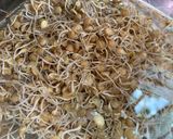 Foto del paso 3 de la receta: Germinado de lenteja