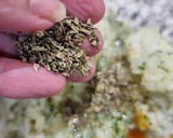 Foto del paso 2 de la receta: Pizza con base de coliflor