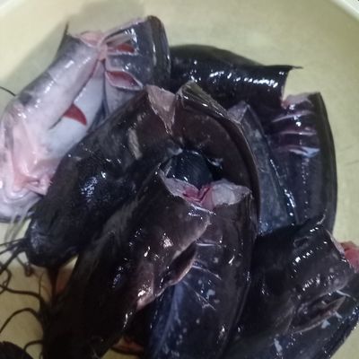 Langkah 1