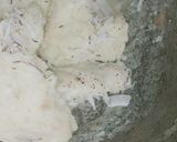 A picture of step 3 of Potato halwa.