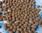 Foto langkah ke 6 dari resep Onde ketawa wijen.