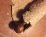 Foto del paso 3 de la receta: Masa para tarta dulce DIET (de salvado)