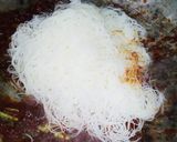 Foto langkah ke 2 dari resep Mie Jagung Goreng.