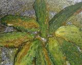 A picture of step 11 of Stuffed masala karela / bittergourd.