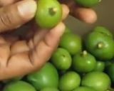 வடு மாங்காய் ஊர்காய்(vadumangai oorukai recipe in tamil) ரெசிபி ஸ்டேப் 1 புகைப்படம்