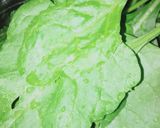 પાલક રાઈસ (Spinach Rice Recipe In Gujarai) રેસીપી સ્ટેપ2ફોટો