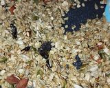 Foto langkah ke 4 dari resep Muesli Bar.