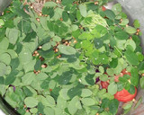 முருங்கைக்கீரை சூப் ரெசிபி ஸ்டேப் 1 புகைப்படம்