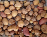 Foto del paso 1 de la receta: Patatas minis con costillas