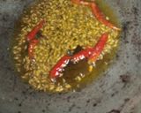 मूंग दाल के कोफ्ते (Moong dal ke kofte recipe in hindi) रेसिपी चरण 2 फोटो