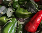 Foto del paso 3 de la receta: Pimientos de Padrón a las hierbas, en airfryer