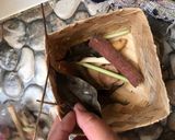 Foto langkah ke 2 dari resep Semur Daging Betawi.