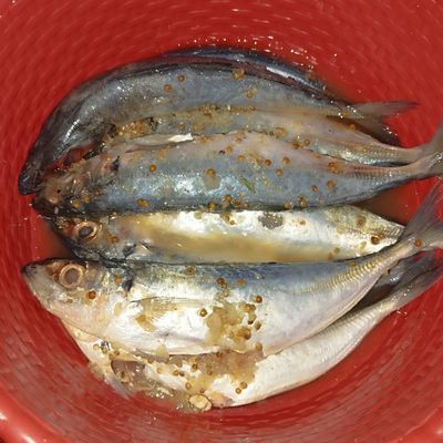 Langkah 4
