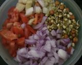 चना मूंग की सलाद(CHANA MOONG KI SALAD RECIPE IN HINDI) रेसिपी चरण 1 फोटो