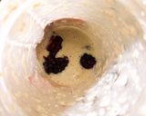 Foto del paso 3 de la receta: Panqueques de plátano y moras