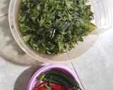Foto langkah ke 1 dari resep Tumis Pakis/Papakuan simpel.