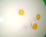 Foto del paso 2 de la receta: Bizcochuelo de Manzana sin Grasa