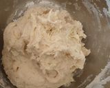 Foto langkah ke 2 dari resep SOURDOUGH MARBLE🌾.