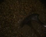 Foto langkah ke 4 dari resep Bubur Kacang hijau.
