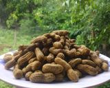 गरमागरम वाफवलेल्या भुईमुगाच्या शेंगा (boiled peanuts recipe in marathi) रेसिपी स्टेप 5 फोटो 
