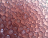 Foto del paso 5 de la receta: 🌸Bubble te de lavanda 🧋🌸