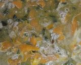 Foto del paso 5 de la receta: Bistek poblano con zanahoria