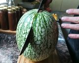 Foto del paso 1 de la receta: Dulce de Alcayota o Cabello de Ángel