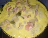 Foto langkah ke 5 dari resep Opor Ayam.