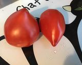 Une image de l'étape 4 de Salade de tomates et carottes aux anchois et câpres sauce agrumes.