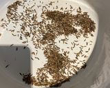 A picture of step 1 of Spring Cleaning Spiced Lentil Soup.