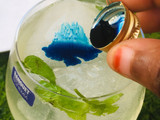 Fizzy blue
