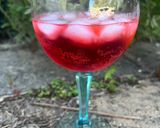 A picture of step 1 of Select Spritz – Venetian aperitivo.
