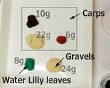 Kanten Wagashi "Carp" recipe step 5 photo