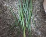 Traditional Kikuyu Mukimo #theme challenge recipe step 4 photo
