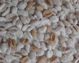 A picture of step 3 of Cowrie/ Kouri (Handmade cowrie shell shaped noodles) in Soup.