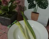 Foto langkah ke 8 dari resep Sup kaldu jagung manis.