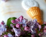 Tort michałkowy z frużeliną wiśniową 🍒 krok przepisu 10 zdjęcie