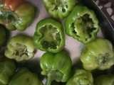 કેપ્સિકમ મરચાં નું ભરેલું શાક (Stuffed Capsicum Marcha Shak Recipe In Gujarati)
